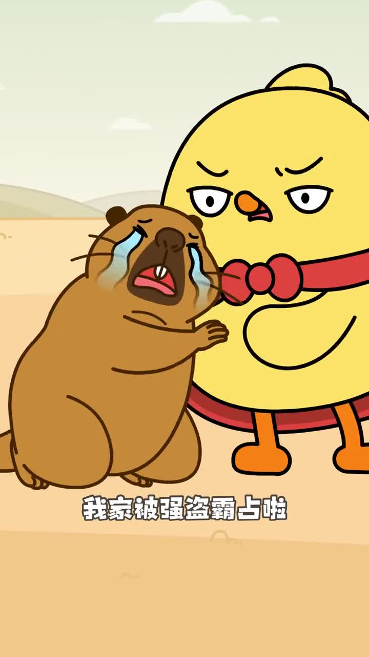 小亮不对是藏狐你们觉得它到底好不好看呢