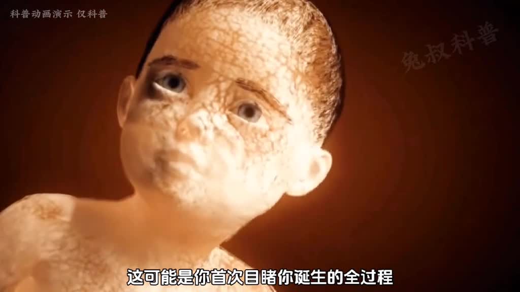 生命的诞生真的很神奇从小蝌蚪到完整的人类堪称一场伟大的奇迹