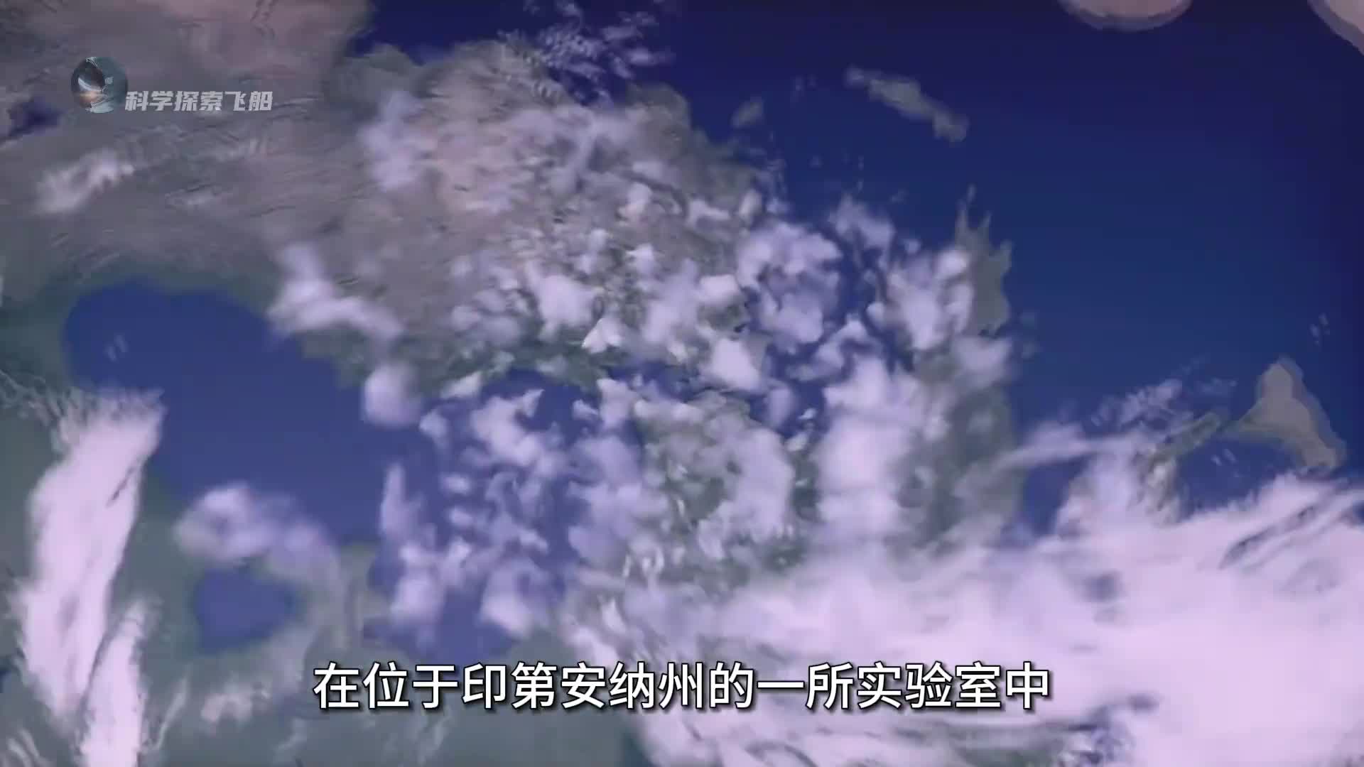 一场持续9个月的凯洛格实验到底有多疯狂结局令人深思