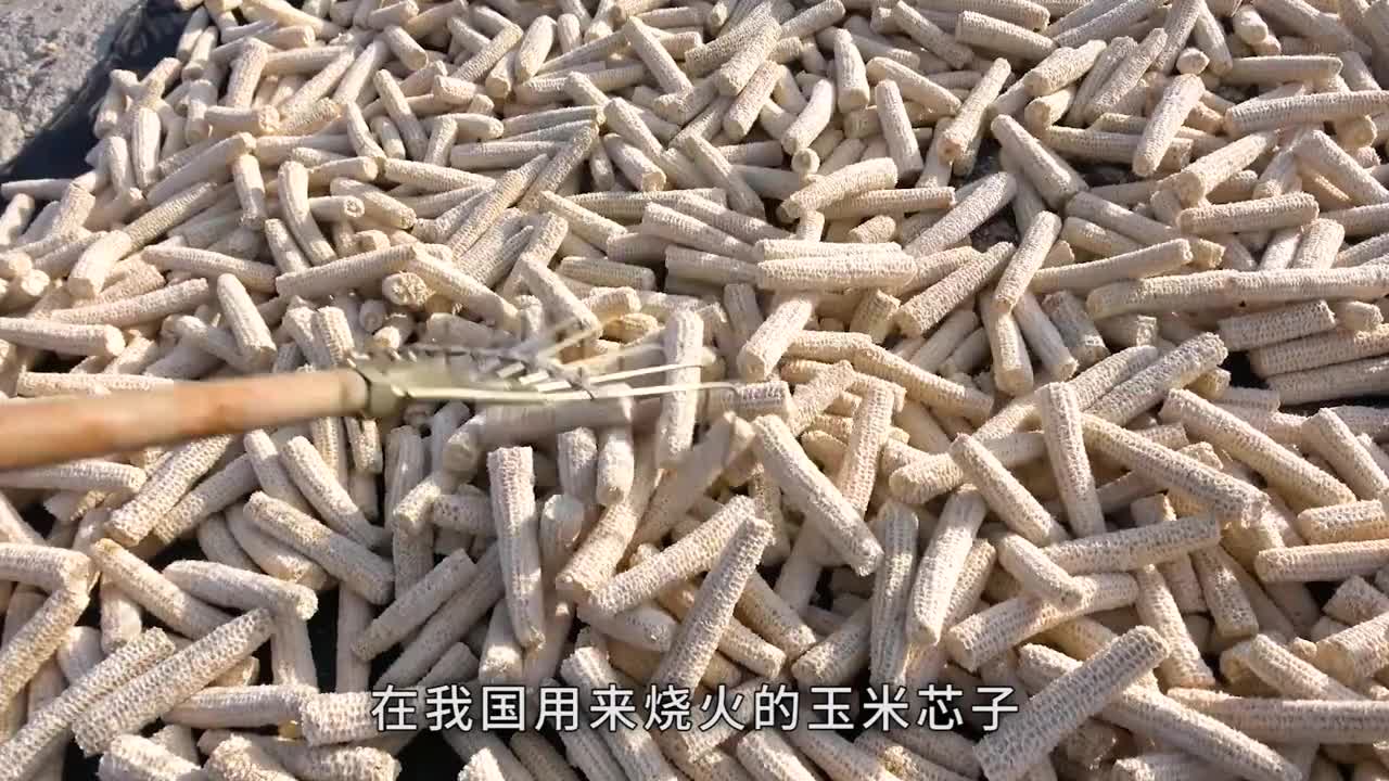 为什么韩国人喜欢吃玉米芯