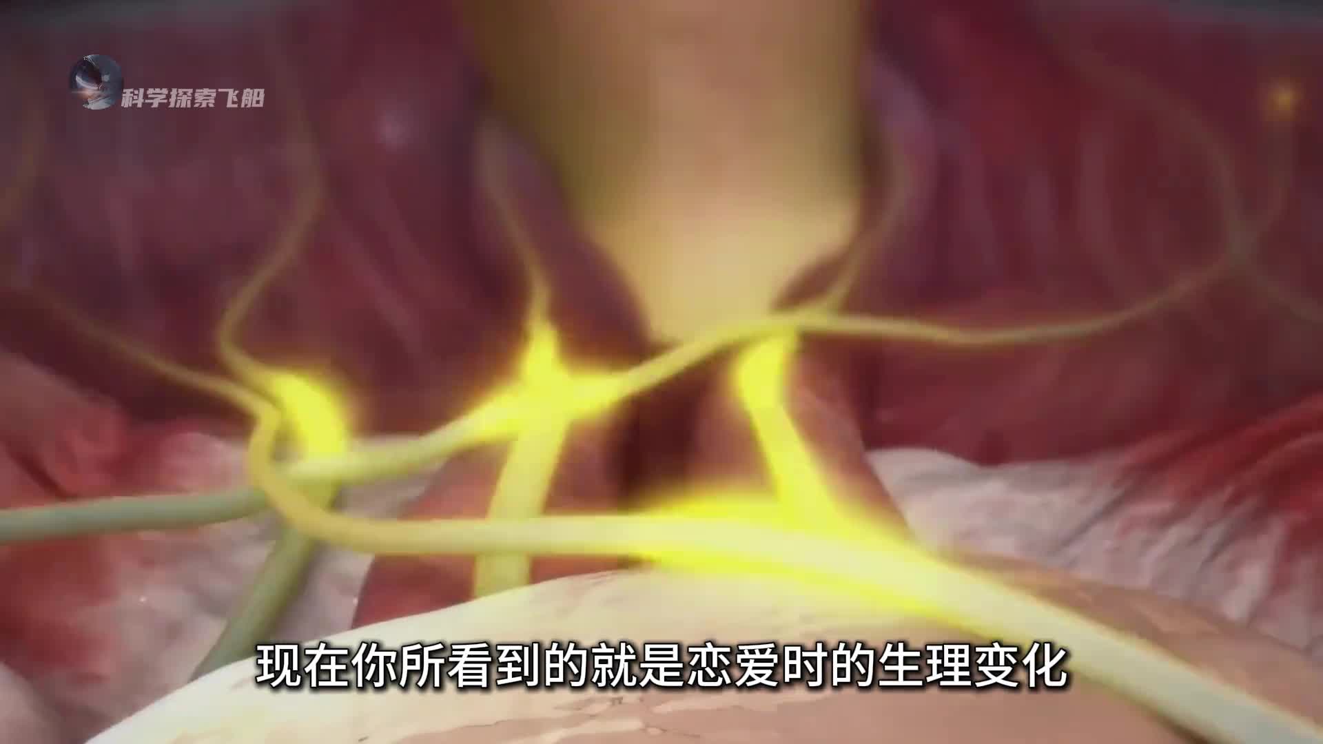 身体在恋爱中的化学变化到底有多神奇