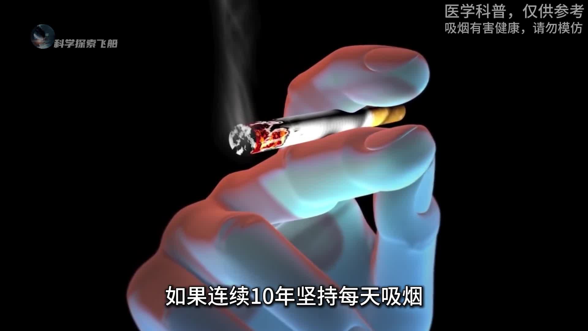 如果连续吸烟10年身体会发生什么变化看完你还敢抽烟吗