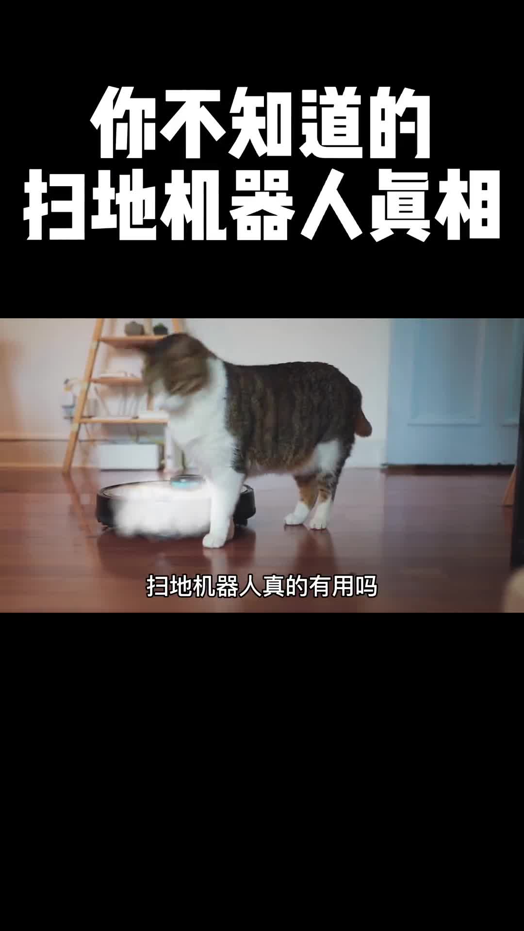 看到视频的最后你会知道什么才是真正扫地机器人