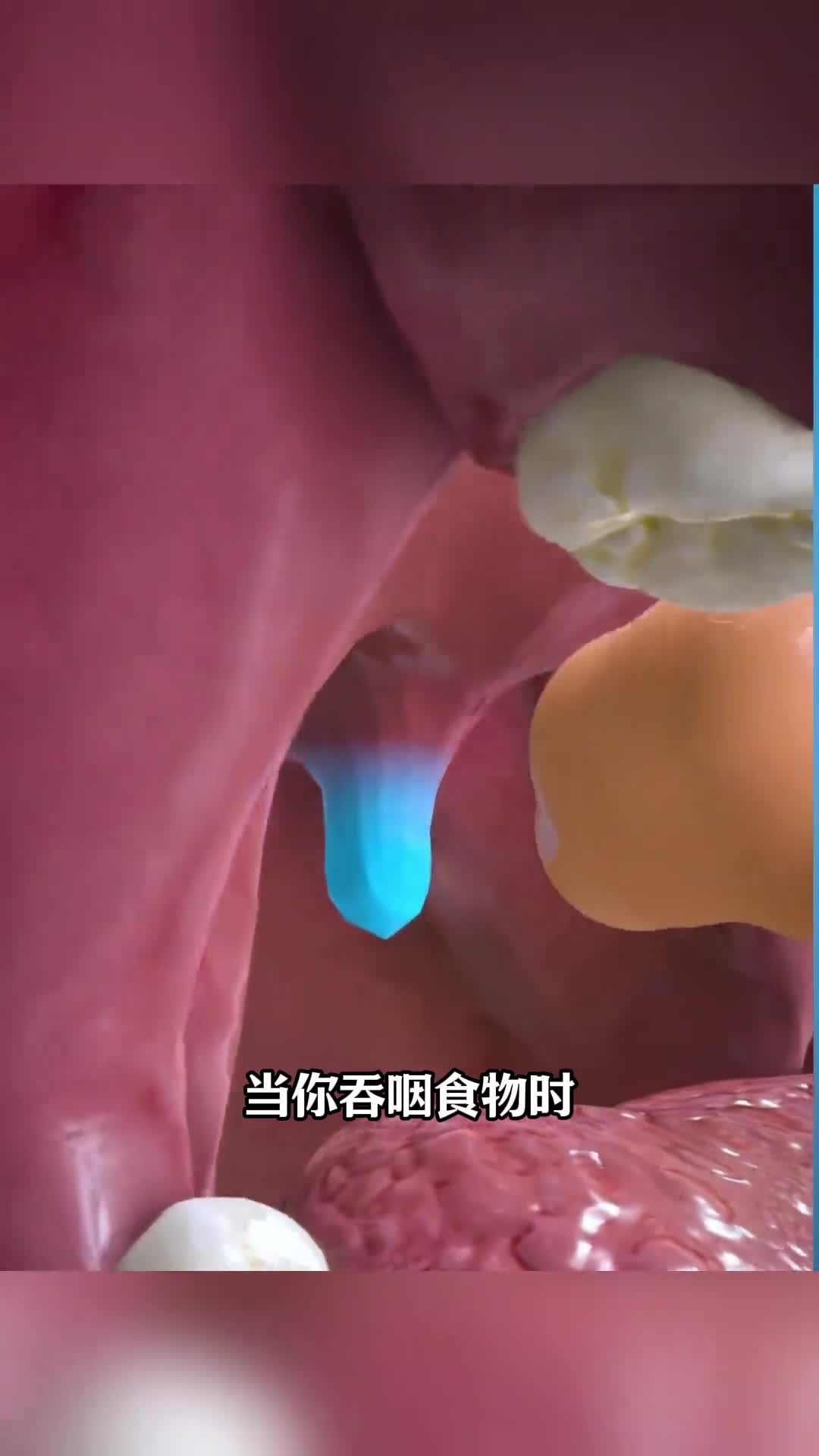 第143集丨悬雍垂小舌到底有什么用