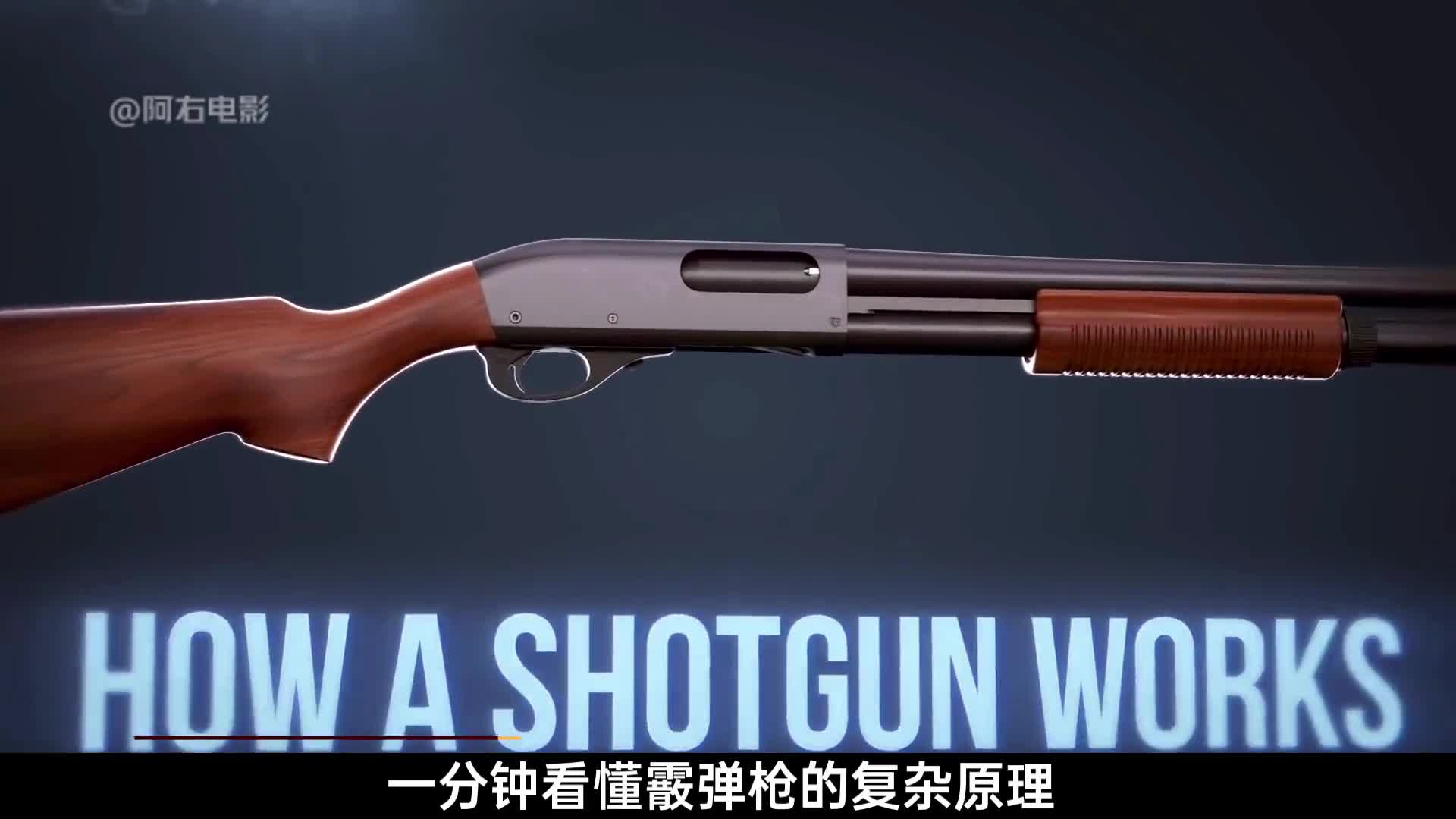 一分钟看懂喷子的工作原理霰弹枪3D演示