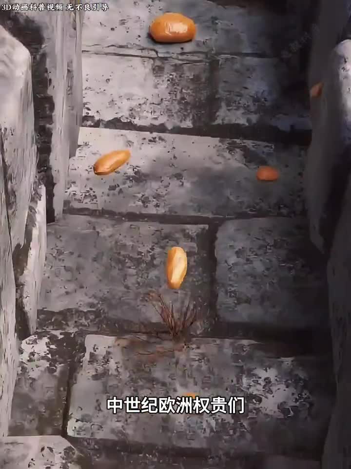 你知道中世纪权贵们他们都是用什么擦屁股的嘛本期视频带你一探究竟