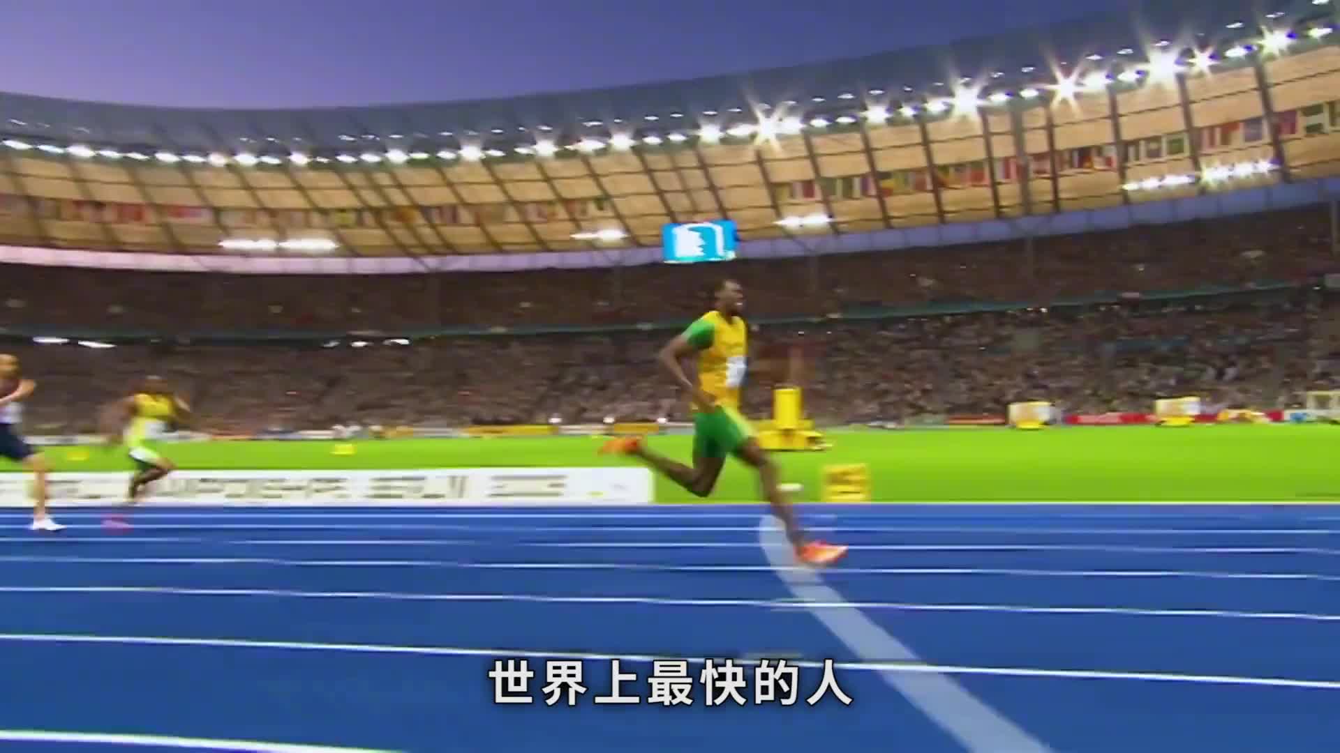 永远追不上的乌龟