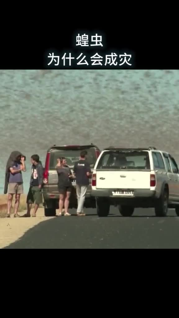 蝗虫为何能成灾