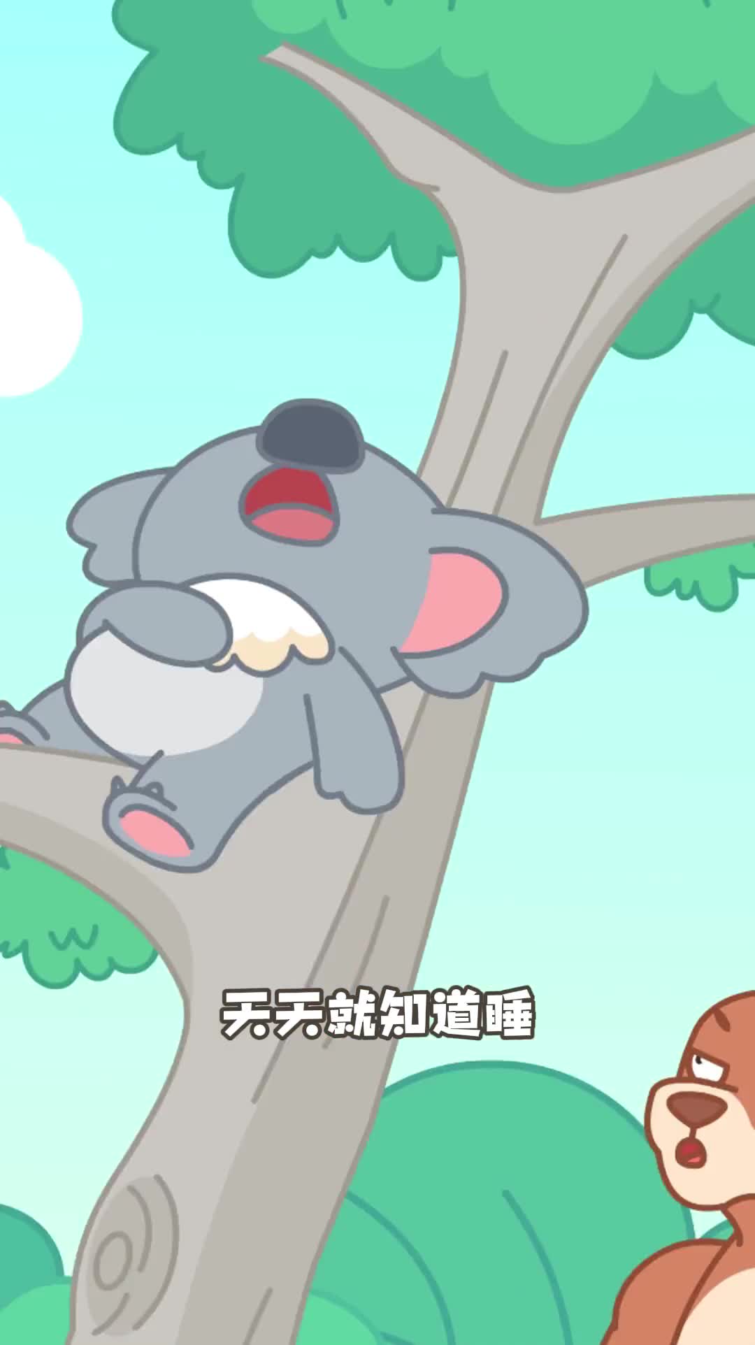 每当你过得不如意时想一想考拉还有什么过不去的坎