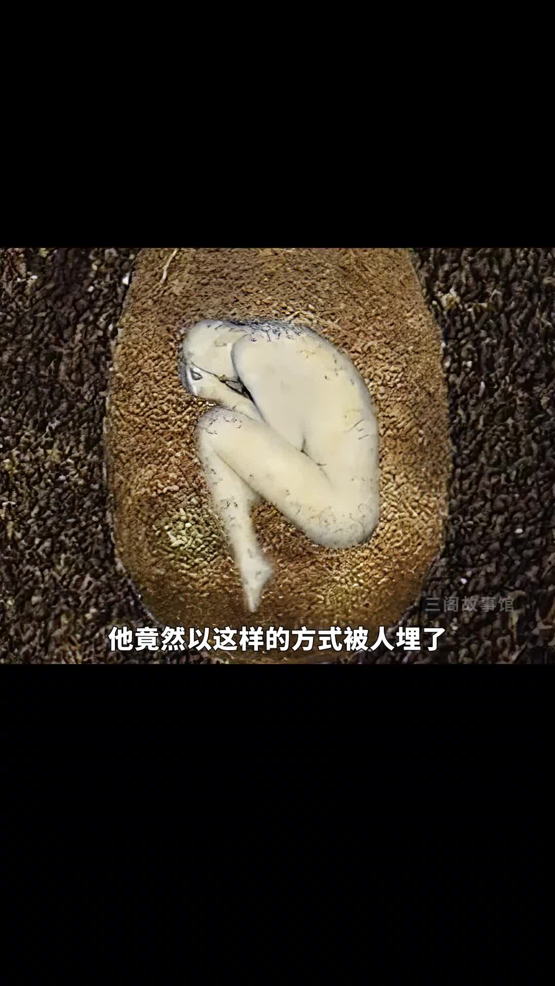 你愿意以树葬人体蛋形胶囊的方式让生命延续吗