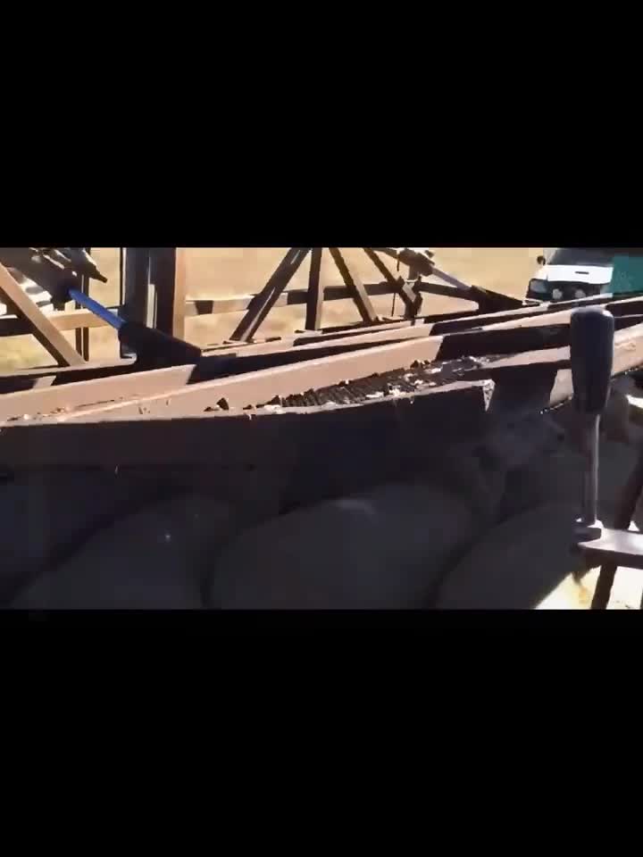 羊浸驱虫法发明羊浸驱虫法的人真是个天才