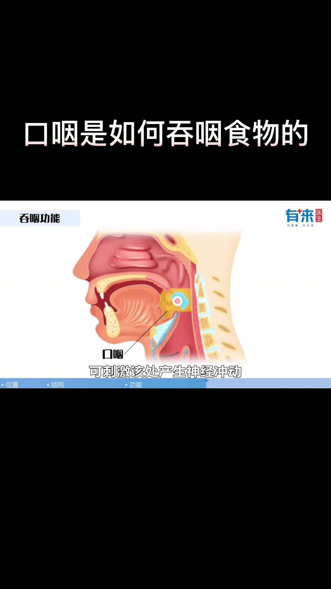看看你的喉咙是如何吞咽食物的