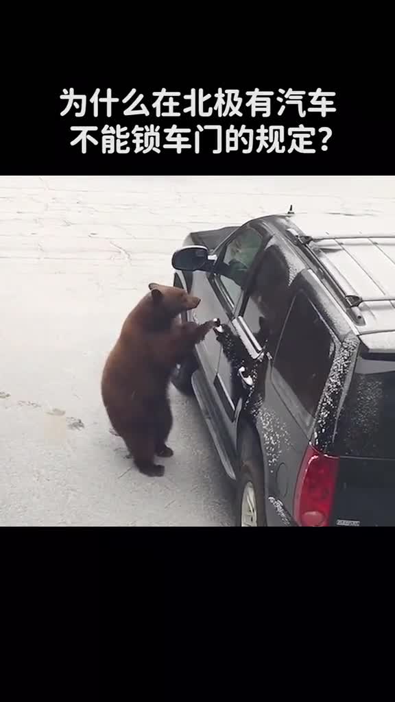 为什么在北极有汽车不能锁车门的规定