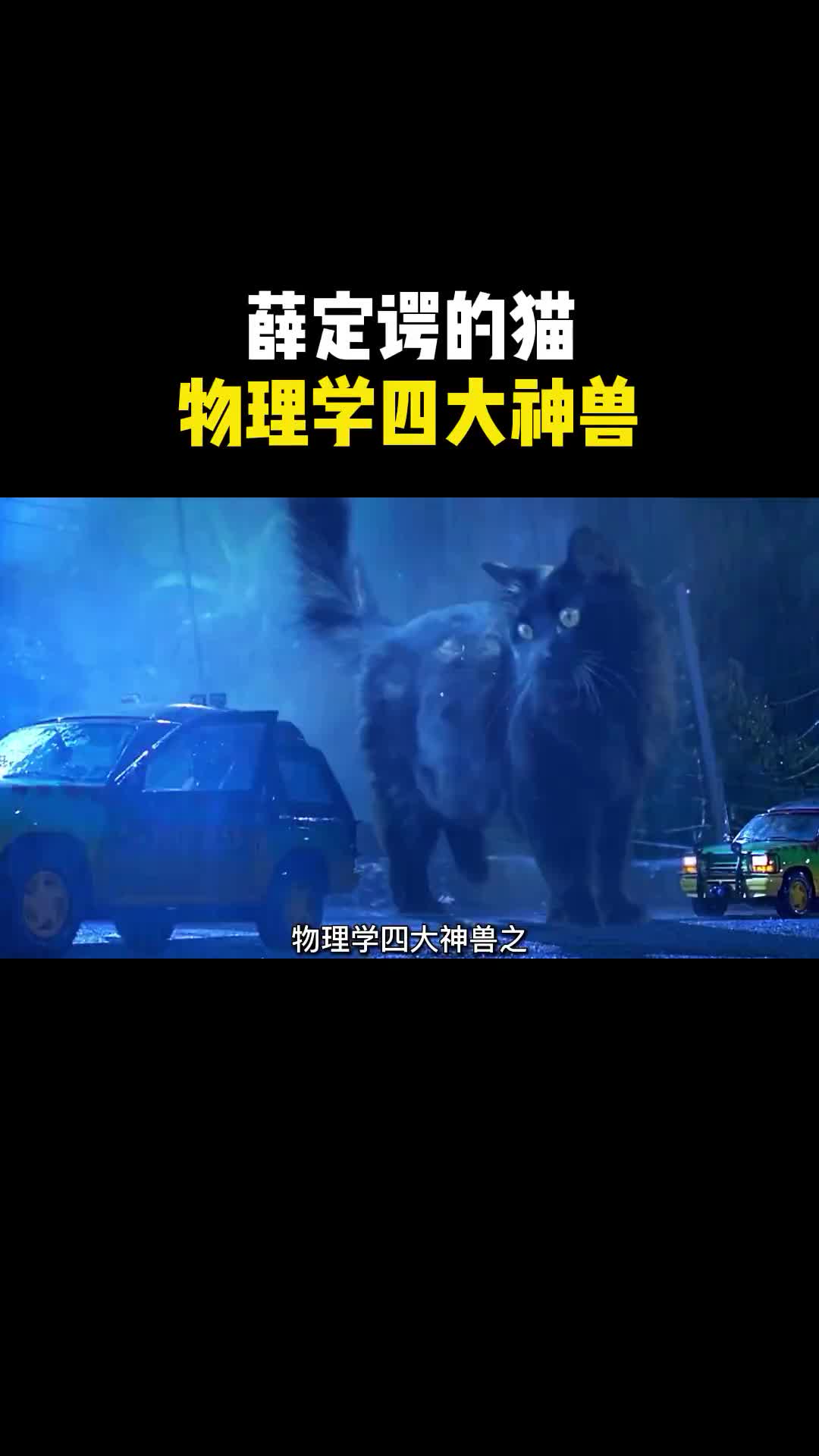 物理学四大神兽之薛定谔的猫到底蕴含了什么样的秘密