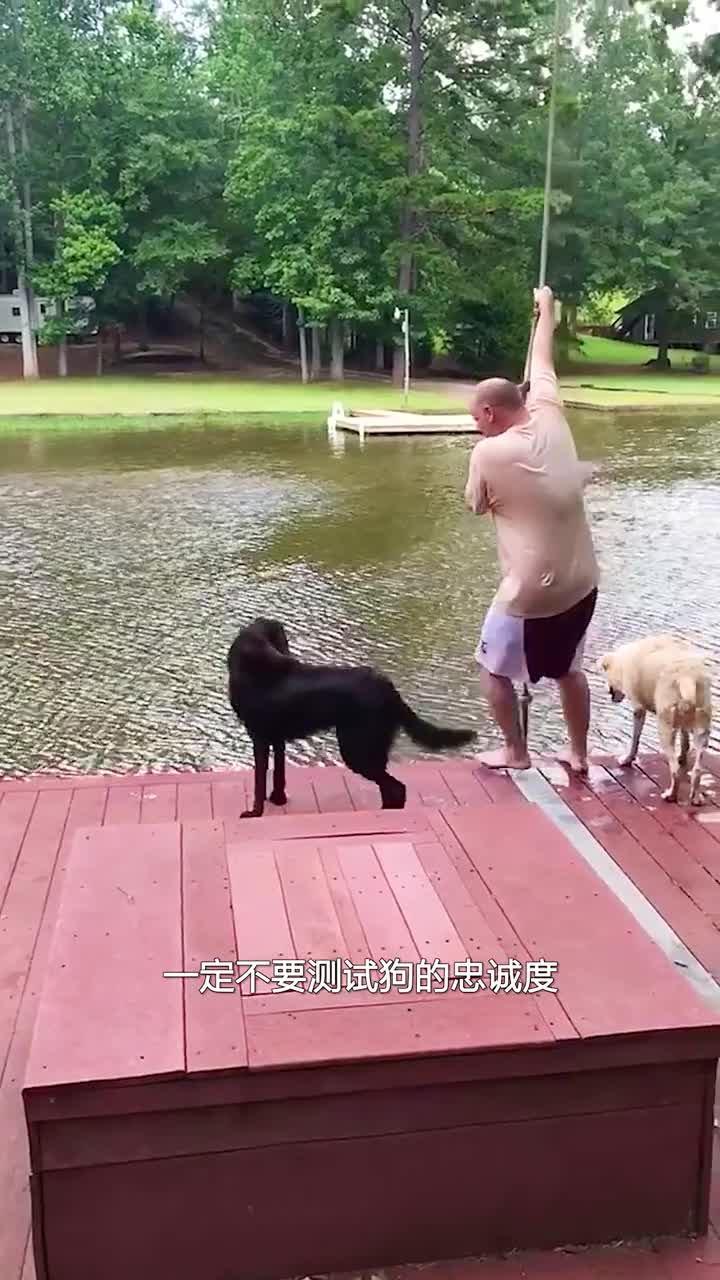 他和狗子幸福的生活让人羡慕