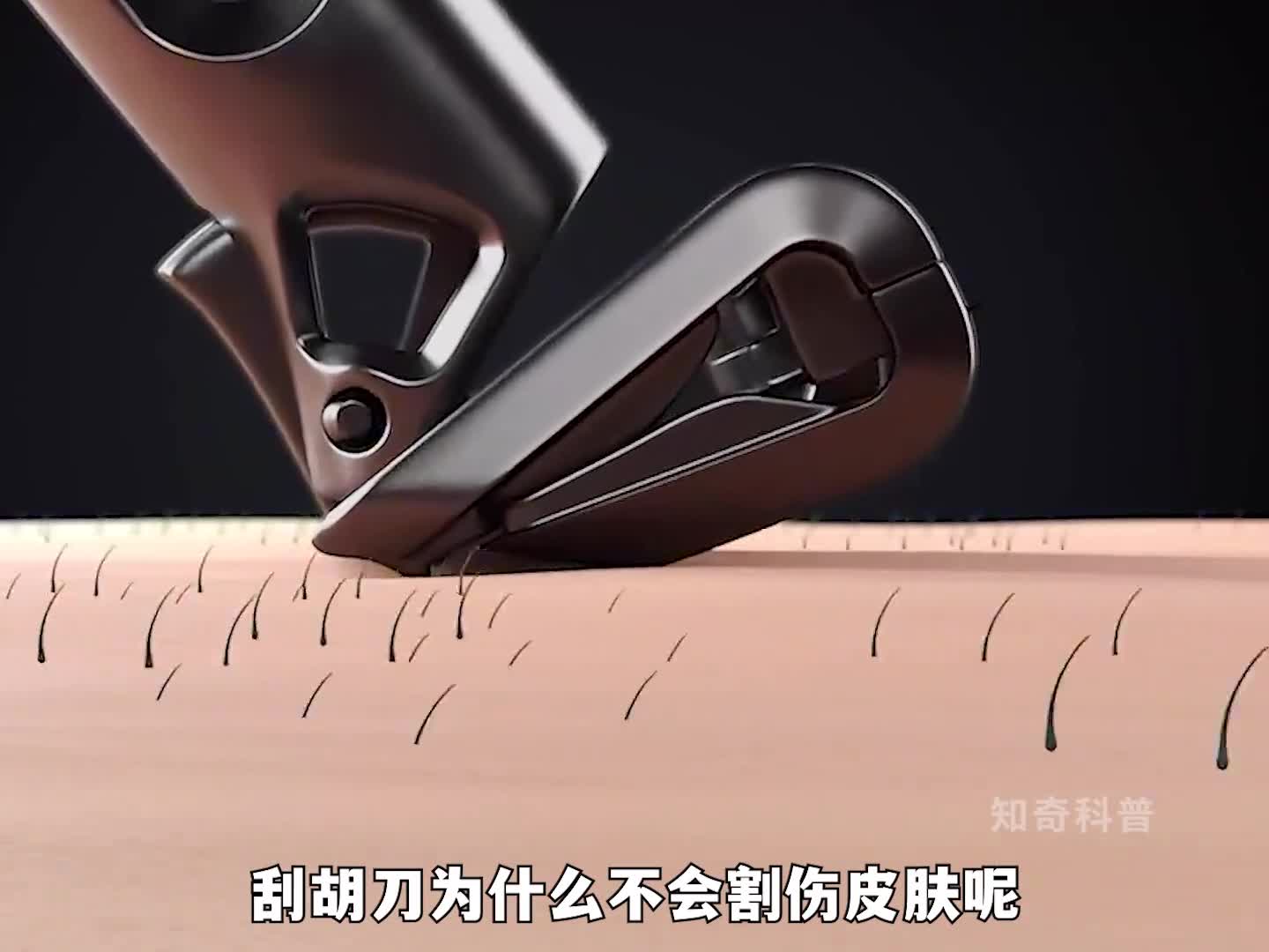 刮胡刀为什么不会割伤皮肤