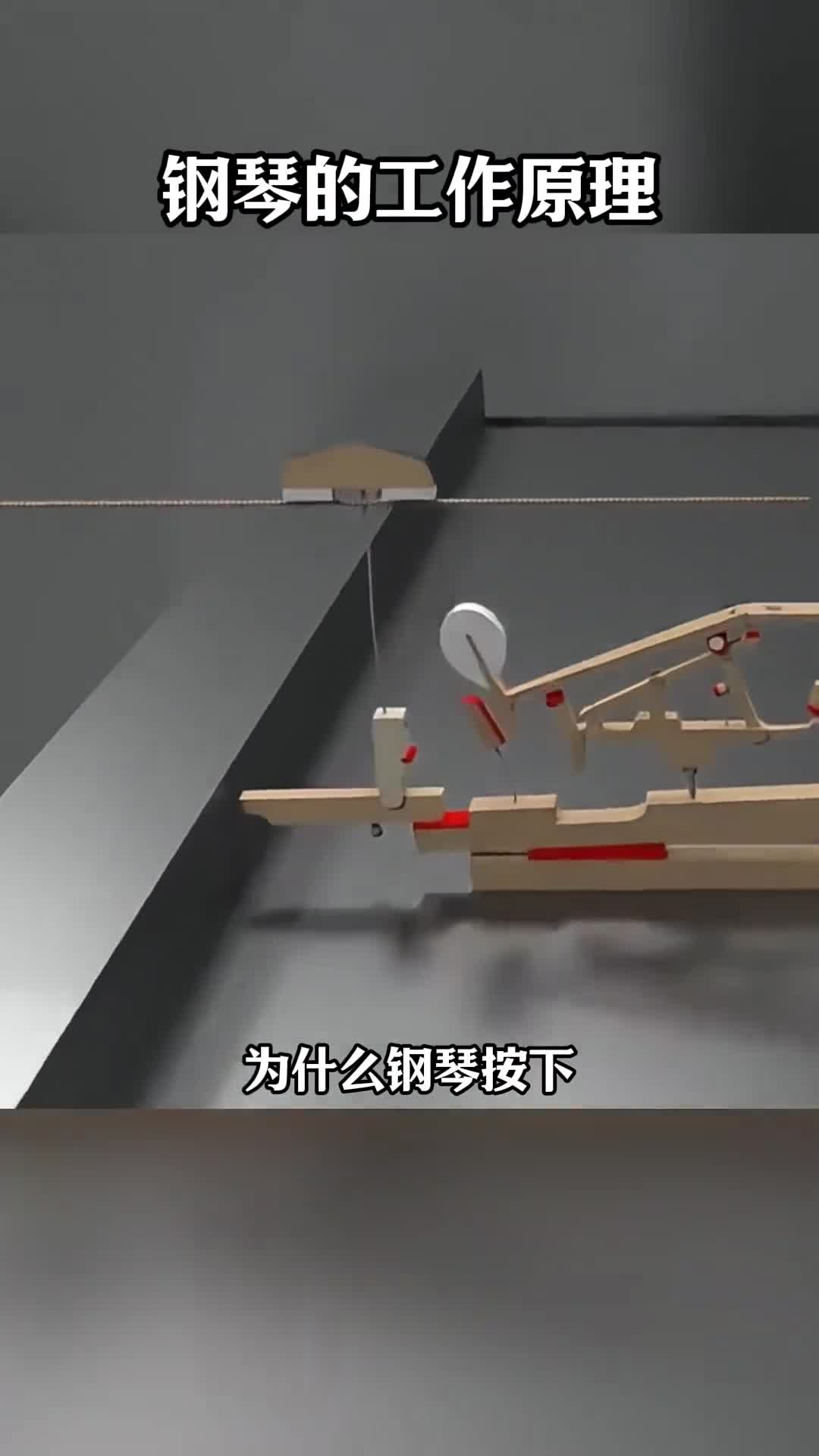 第125集丨钢琴的工作原理