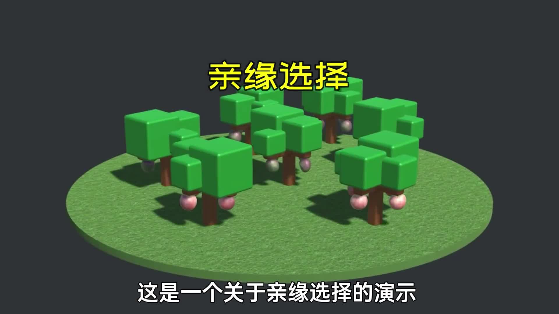 森林中的牛油果演示亲缘选择对生物种群的重要性
