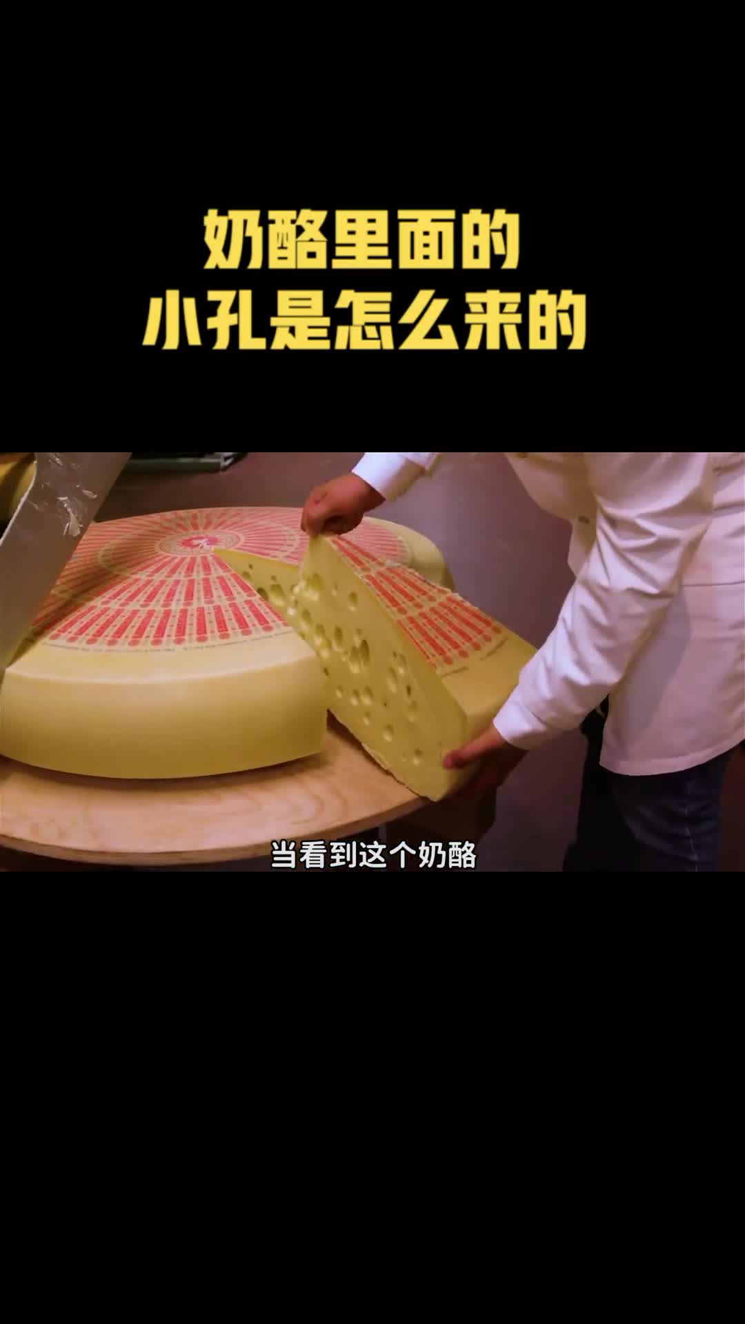 瑞士奶酪里面的小孔是怎么来的