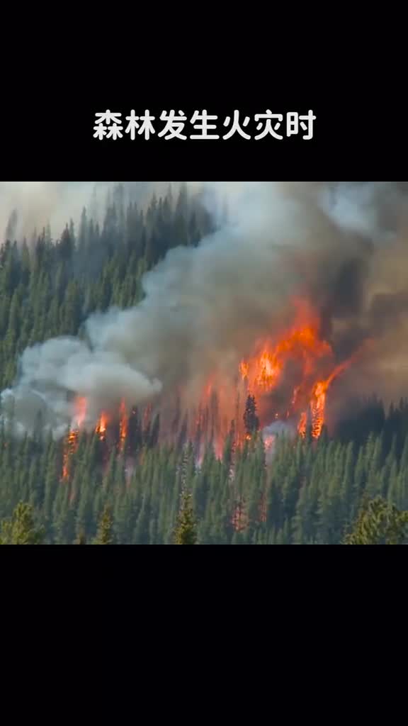 森林发生火灾时为什么不使用人工降雨