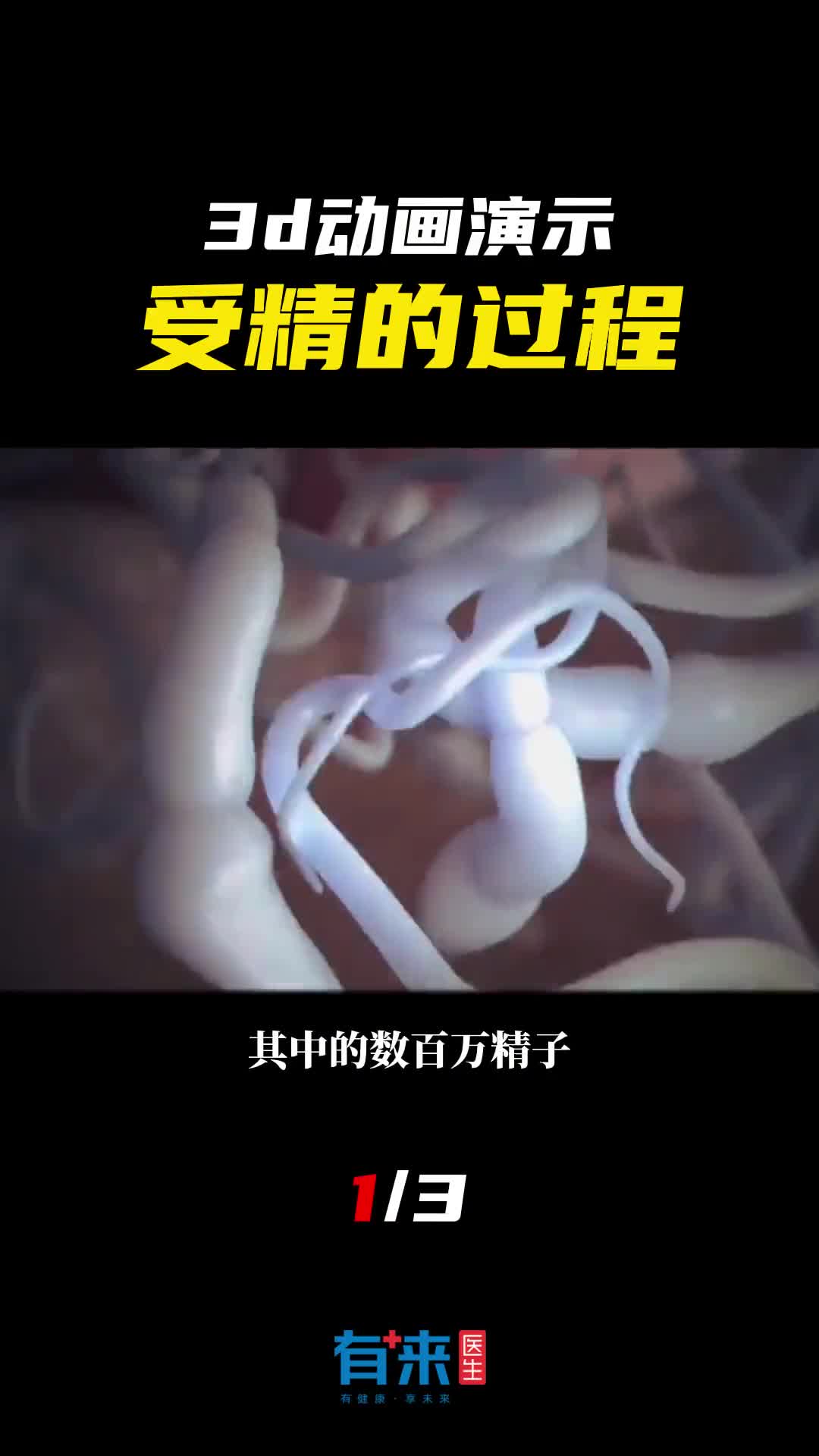 生命的孕育真的很神奇