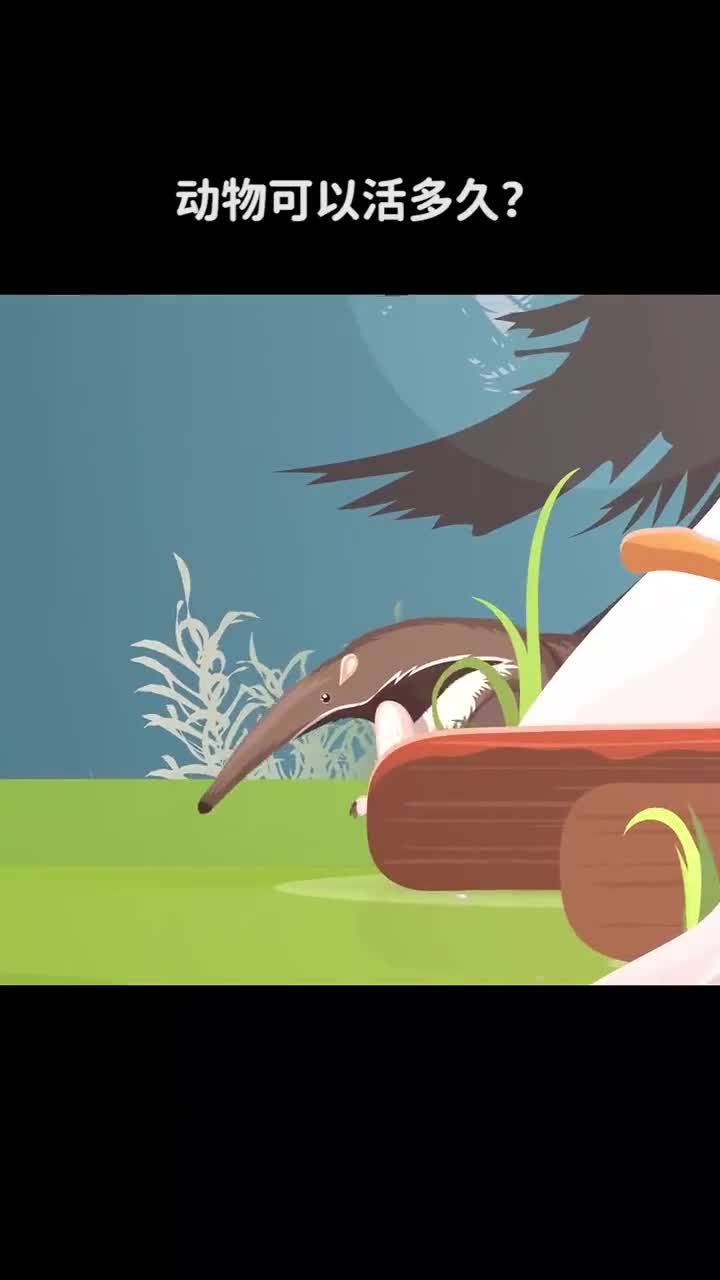 如果没有水动物可以活多久