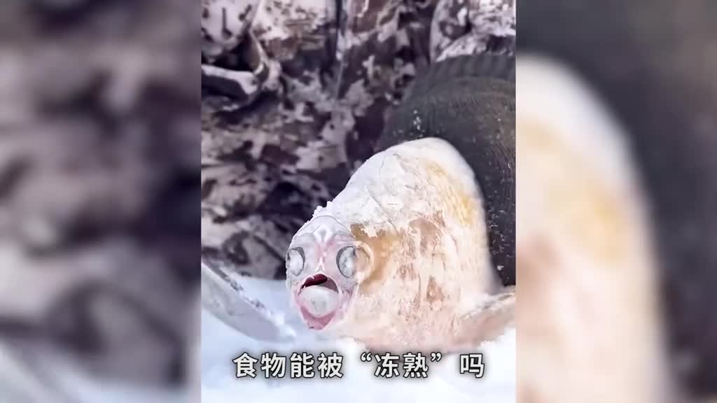 食物能被冻熟吗