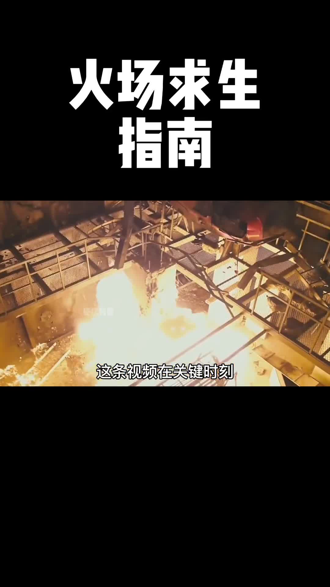 这条视频值得你认真看完并且转发给每一个你爱的人