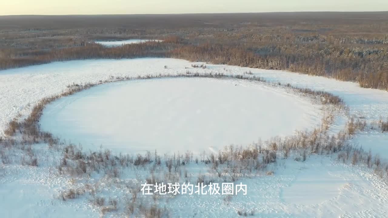 北极圈原始森林中有座小木屋里面居住一位现实世界的光头强