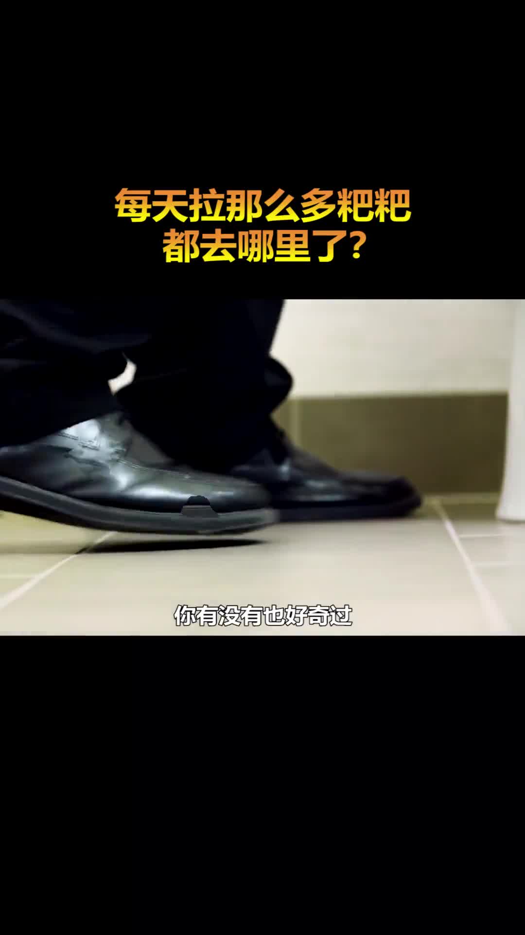 我们每天拉那么多的粑粑都到哪里去了