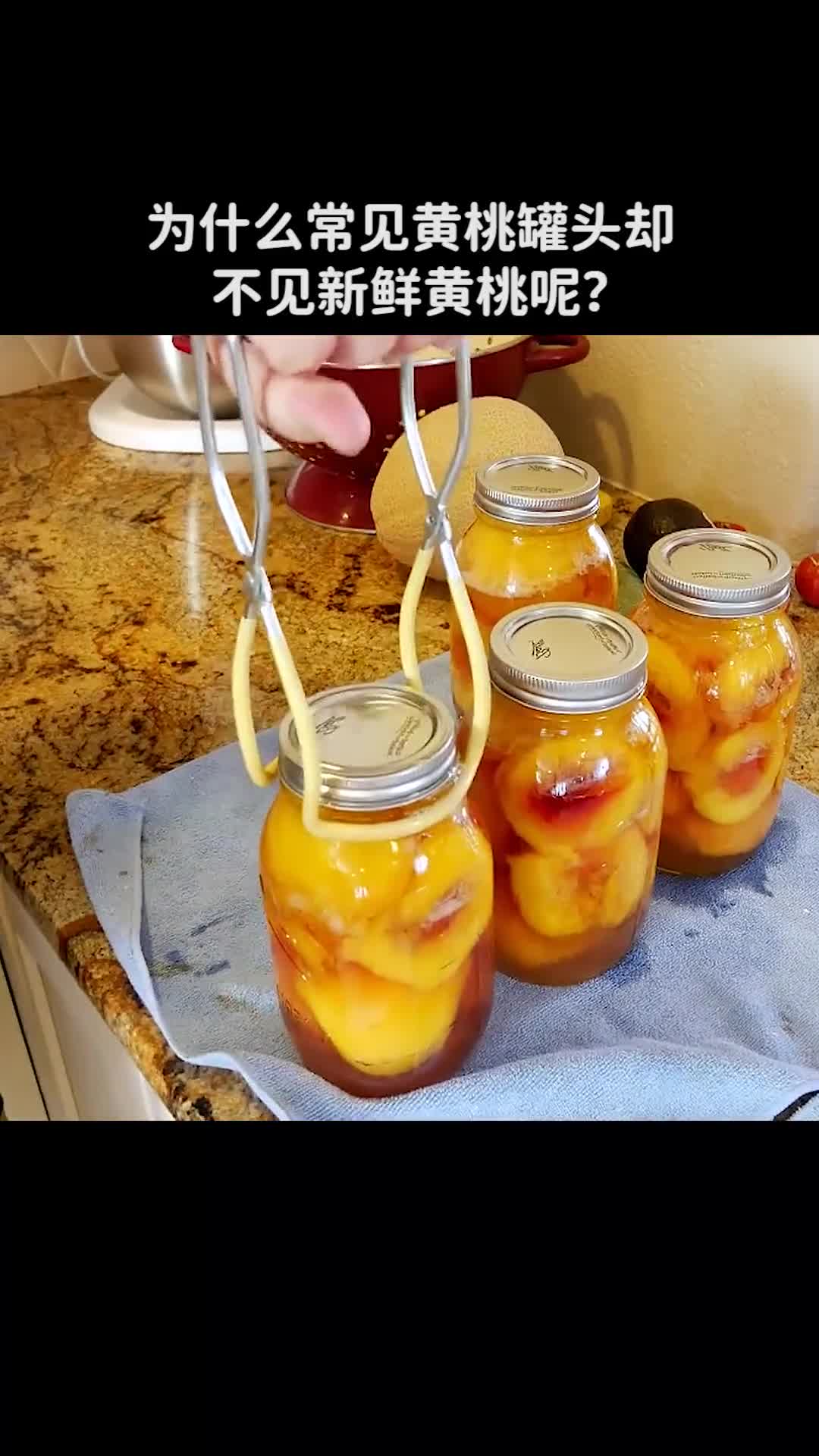 为什么常见黄桃罐头却不见新鲜黄桃呢