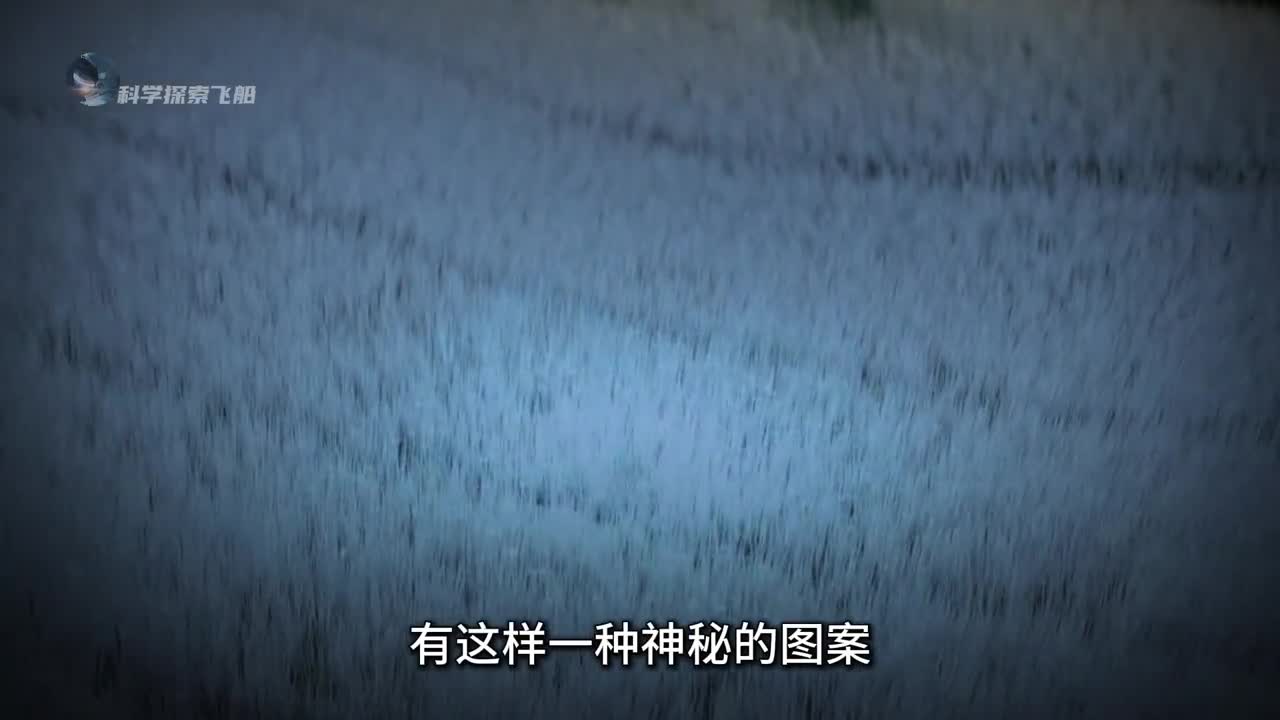 麦田怪圈到底隐藏了什么秘密是人为制造还是外星人留下的信息