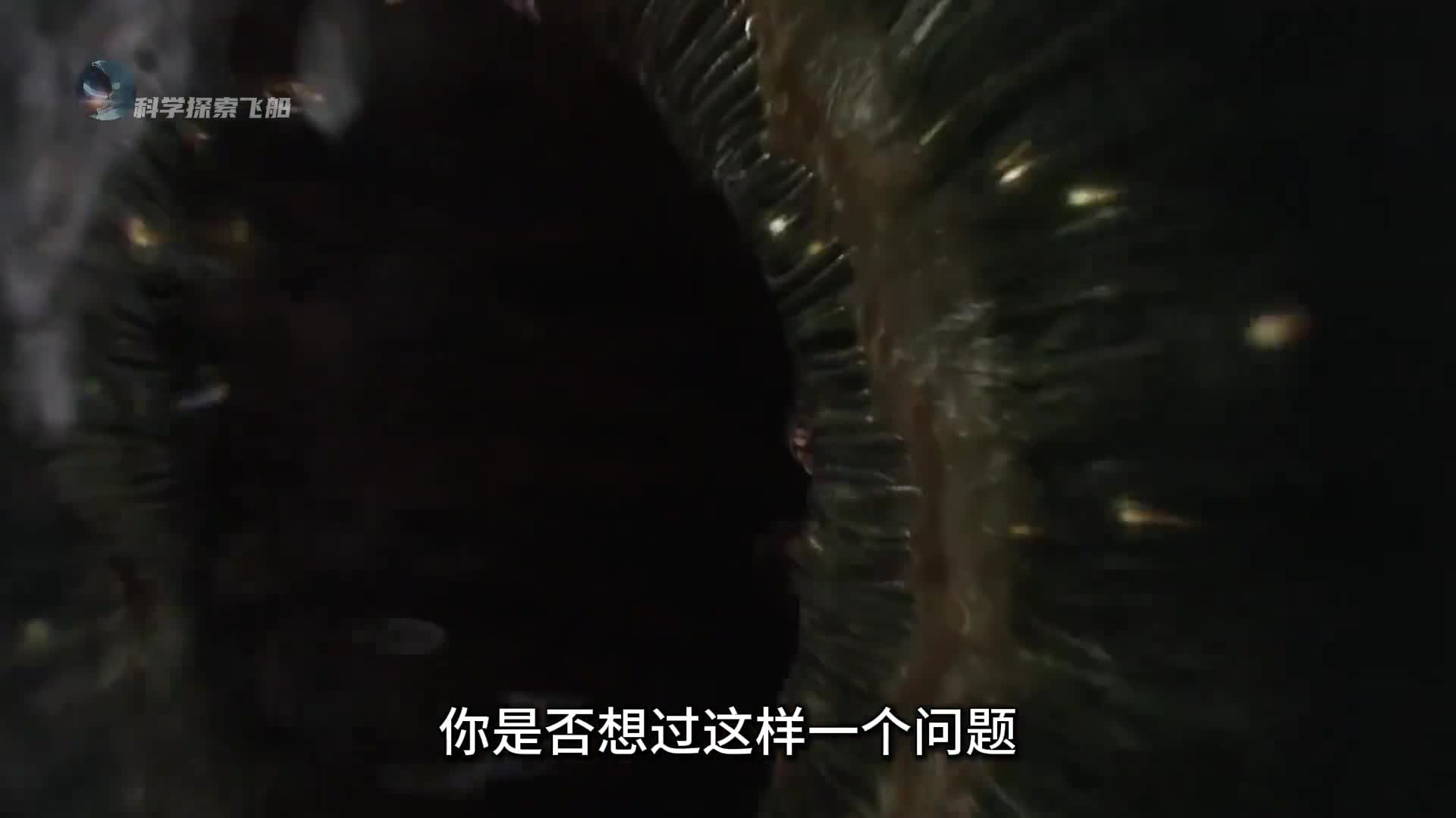 细思极恐的农场主假说到底有多恐怖