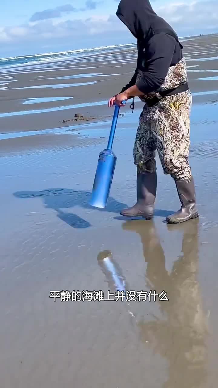 他抓蛤蜊的方法绝了这个方法让他月入两万