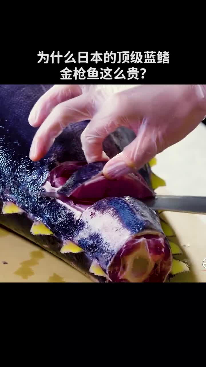 为什么日本的顶级蓝鳍金枪鱼这么贵
