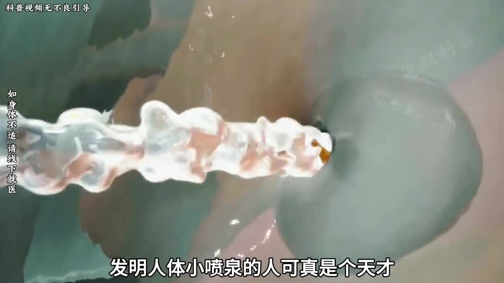 你知道斯基恩氏腺嘛它究竟是如何形成的呢