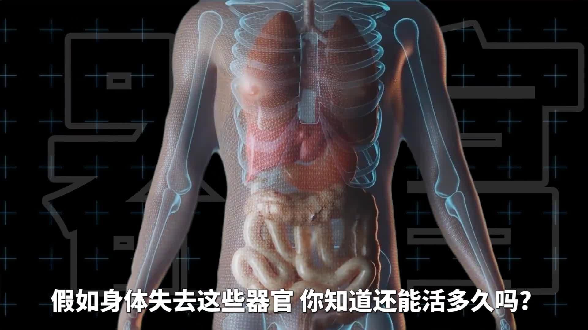 假如身体失去这些器官你还能活多久