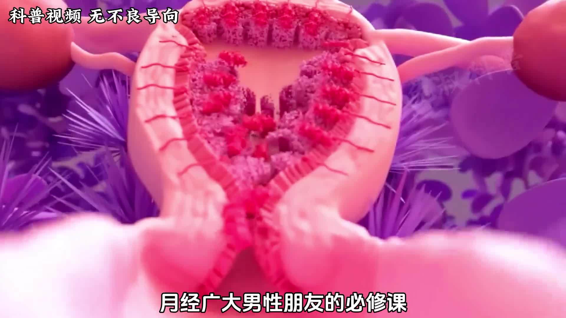 你知道女性一个月的身体变化嘛女性的月经又是如何形成的