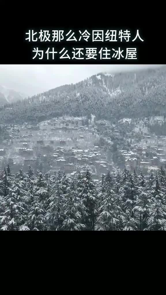 北极那么冷因纽特人为什么还要住冰屋
