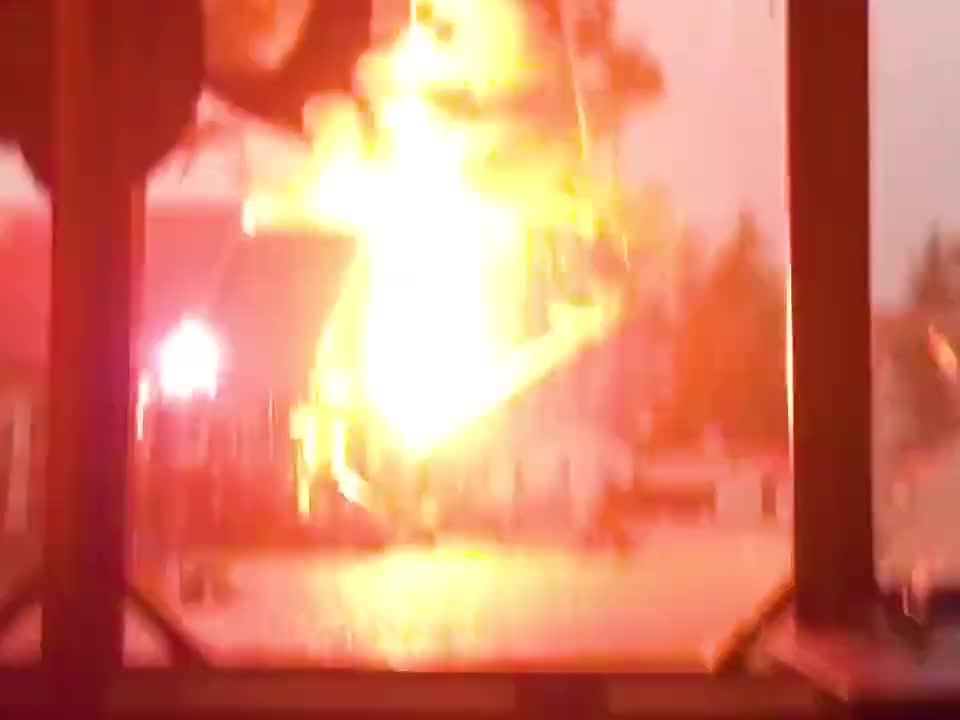 被雷劈过的树木为什么价值暴涨几百倍