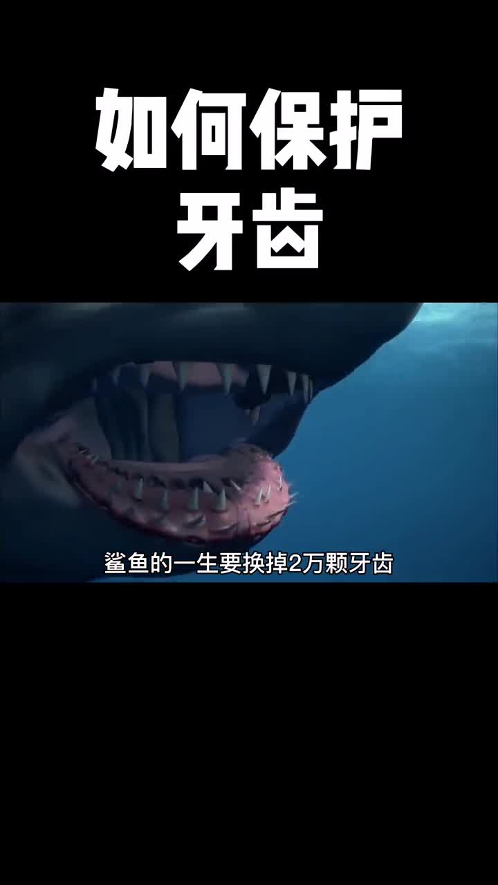 你重视牙齿健康问题么是不是不到痛彻心扉就不会护理牙齿