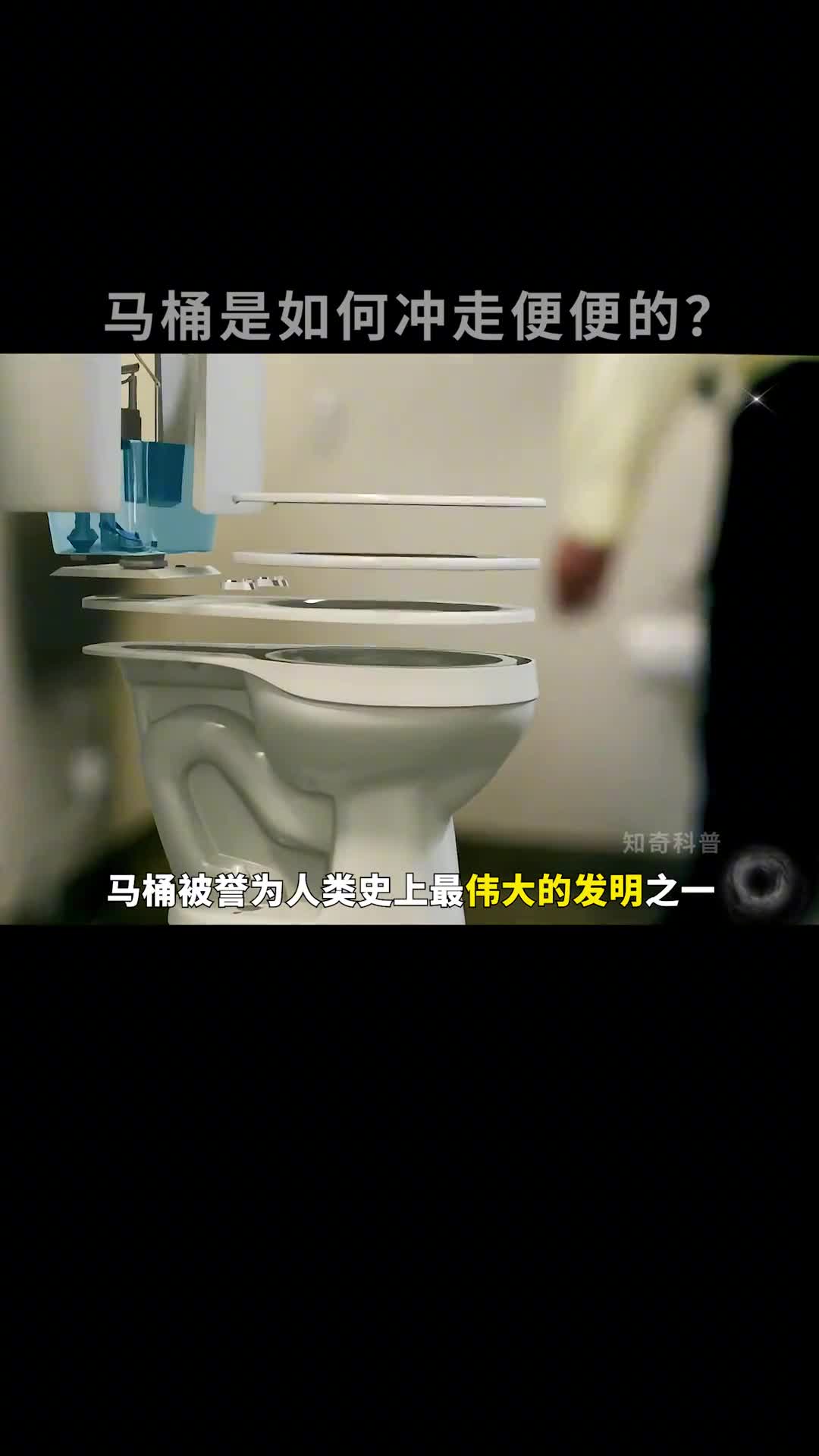 马桶是如何冲走污物的