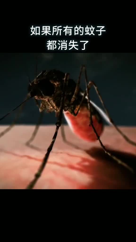 如果所有的蚊子都消失了世界会发生什么