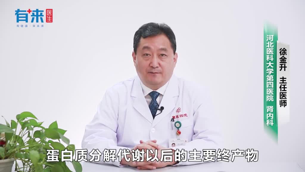 血尿素氮偏高原因