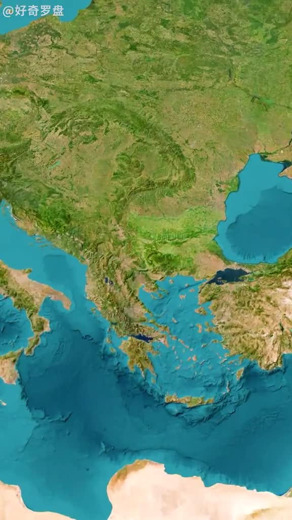 一条狗引发的战争