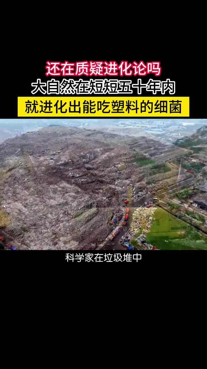 还在质疑进化论的正确性吗看看这个奇怪的细菌它以塑料为食大阪堺菌原本是吃角质的但当人类发明了塑料后其展示了惊人的适应速度用短短的五十年就进化出了吃塑料的能力