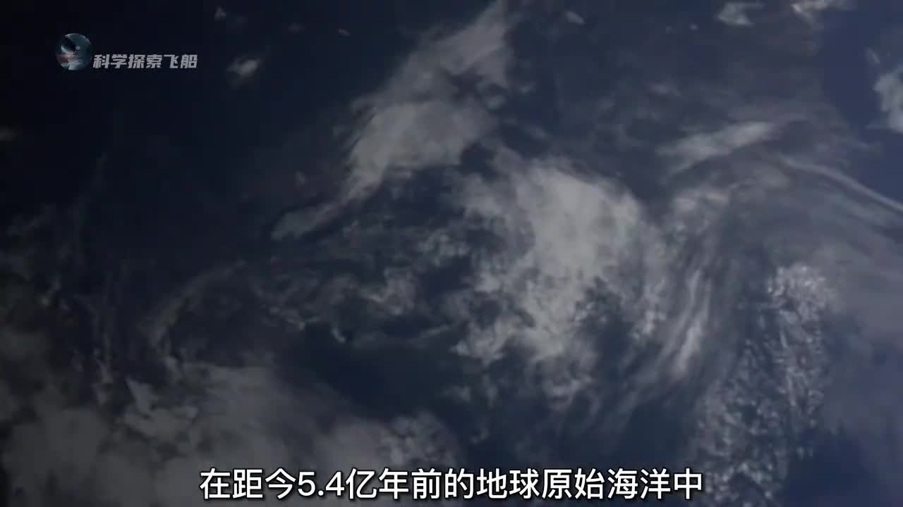 54亿年前的地球初代霸主奇虾到底有多可怕