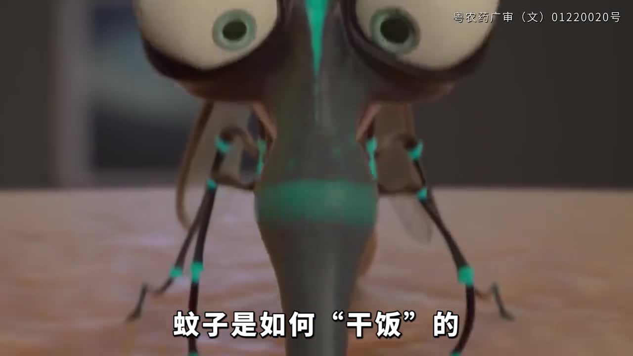 你知道蚊子是如何干饭的吗