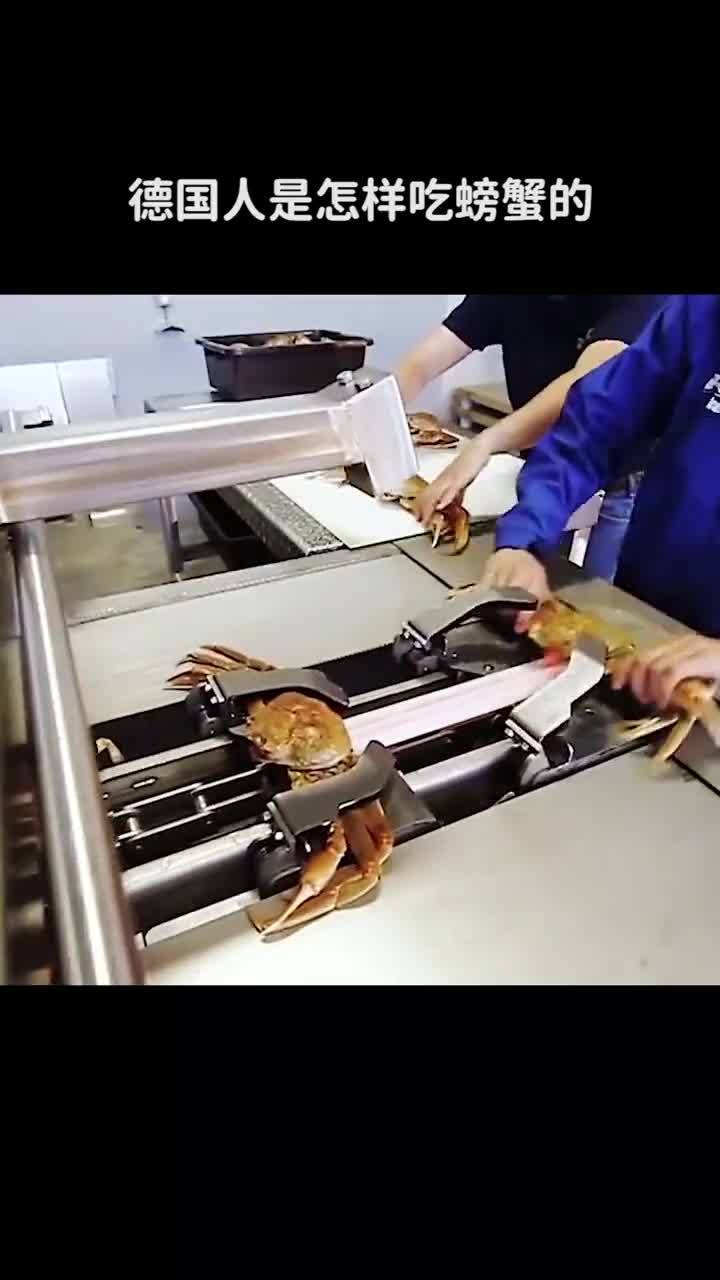德国人是怎样吃螃蟹的