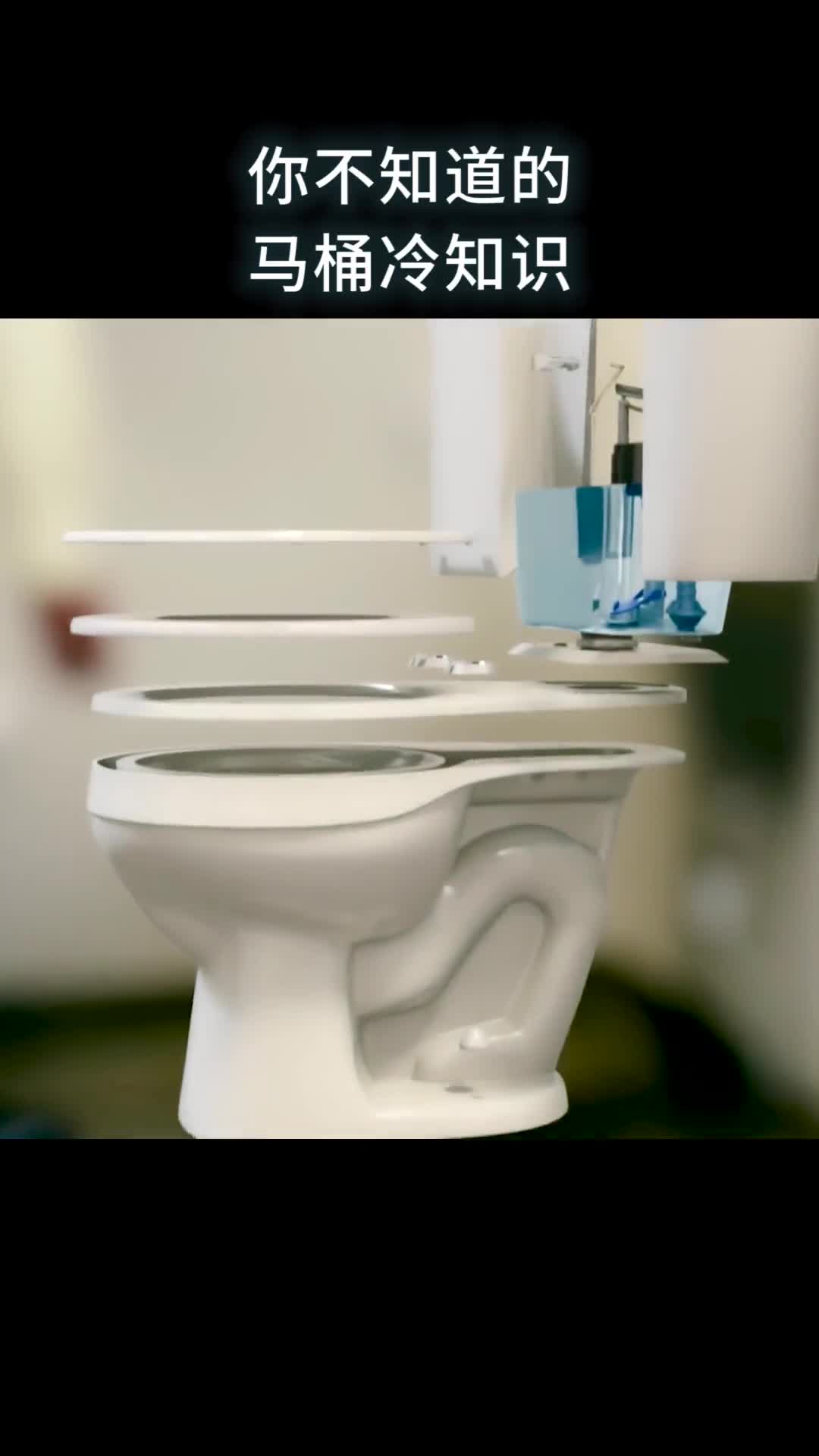 你不知道的马桶冷知识